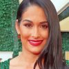 Professional WWE Nikki Bella Paint By Numbers