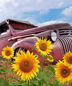 Sunflower In Truck Paint By Numbers