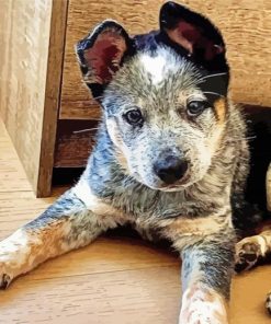 Texas Heeler Puppy Dog Paint By Numbers