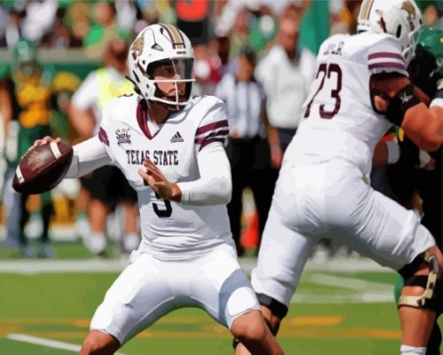 Texas State Bobcats Footballer Paint By Numbers