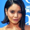 The Actress Vanessa Hudgens Paint By Numbers