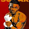 The Boxer Sugar Ray Robinson Illustration Poster Paint By Numbers