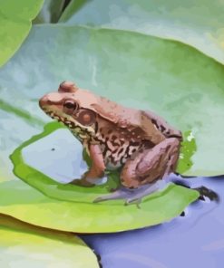 Water Frog On Lily Pond Paint By Numbers