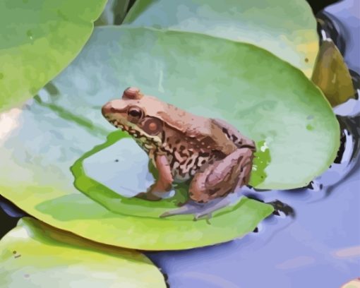 Water Frog On Lily Pond Paint By Numbers