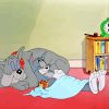 Tom And Jerry And Dog Sleeping Paint By Numbers