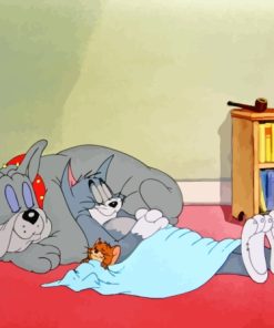 Tom And Jerry And Dog Sleeping Paint By Numbers