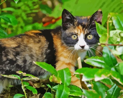 Tortoiseshell Cat Paint By Numbers