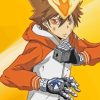 Tsunayoshi Sawada Anime Paint By Numbers