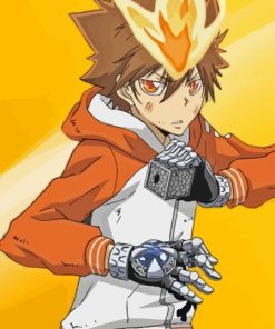 Tsunayoshi Sawada Anime Paint By Numbers