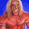 Ultimate Warrior Paint By Numbers