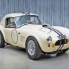 Vintage Shelby Cobra Le Mans Paint By Numbers