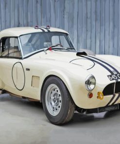 Vintage Shelby Cobra Le Mans Paint By Numbers