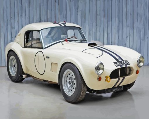 Vintage Shelby Cobra Le Mans Paint By Numbers