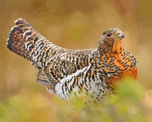 Western Capercaillie Paint By Numbers