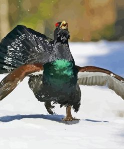 Western Capercaillie Running In Snow Paint By Numbers