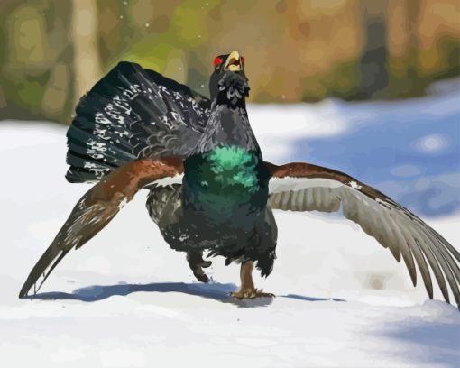 Western Capercaillie Running In Snow Paint By Numbers