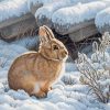 Aesthetic Rabbit In Snow Paint By Numbers