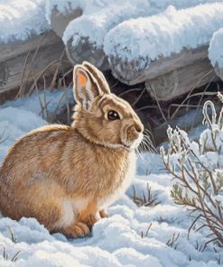 Aesthetic Rabbit In Snow Paint By Numbers