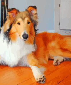 Aesthetic Sable Rough Collie Paint By Numbers