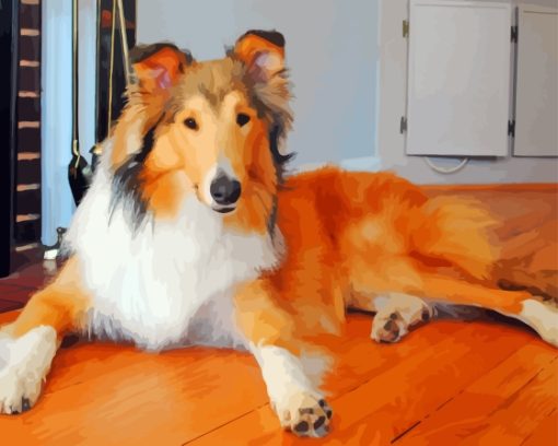 Aesthetic Sable Rough Collie Paint By Numbers