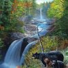 Bears In Waterfall Landscape Paint By Numbers