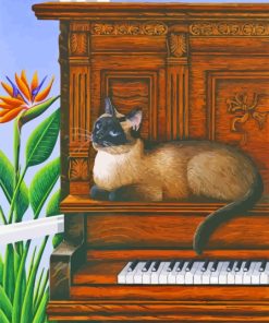 Cat On Piano Paint By Numbers