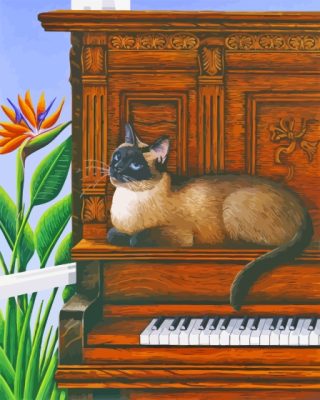 Cat On Piano Paint By Numbers