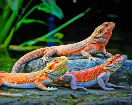 Colorful Bearded Dragons Paint By Numbers