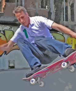 Cool Tony Hawk Paint By Numbers