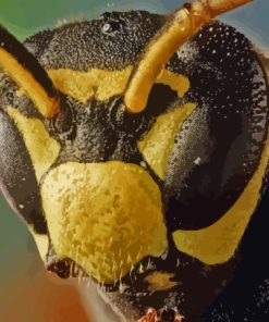 European Paper Wasp Paint By Numbers