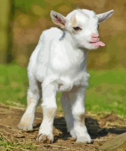 Funny Baby Goat Paint By Numbers