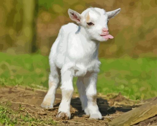 Funny Baby Goat Paint By Numbers