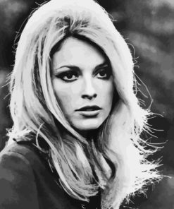 Monochrome Sharon Tate Paint By Numbers