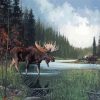 Moose In Lake Landscape Paint By Numbers