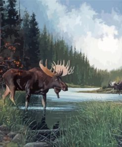 Moose In Lake Landscape Paint By Numbers