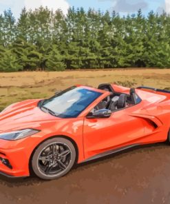 Orange C8 Convertible Corvette Paint By Numbers