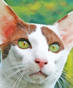 Oriental Shorthair Cat Paint By Numbers