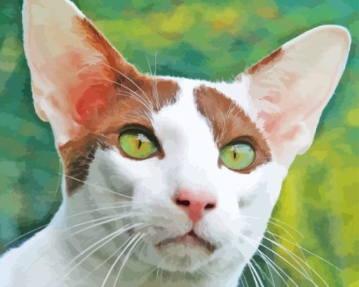 Oriental Shorthair Cat Paint By Numbers