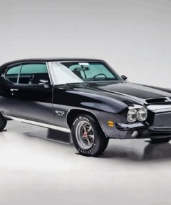 1971 Pontiac GTO Judge Paint By Numbers