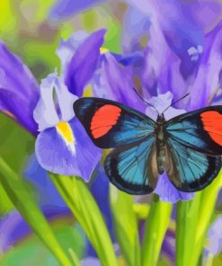 Purple Irises With Butterfly Paint By Numbers