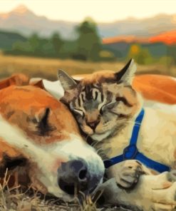 Sleepy Dog And Cat Together Paint By Numbers