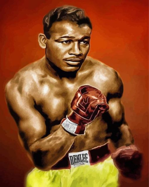 Sugar Ray Robinson Boxer Art Paint By Numbers