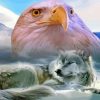 Wolf And Eagle Paint By Numbers