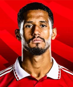 Footballer William Saliba Paint By Numbers