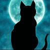 Cat And Moon Paint By Number