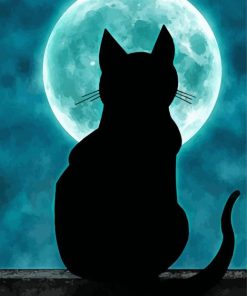 Cat And Moon Paint By Number