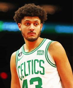 Celtics Justin Jackson Paint By Number