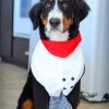 Chef Bernese Mountain Dog Paint By Numbers