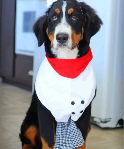 Chef Bernese Mountain Dog Paint By Numbers