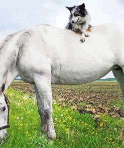 Grey Horse With Mini Aussie Paint By Numbers